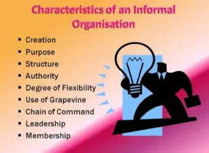 Characteristics of Informal Organisation