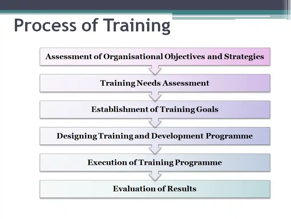 Process of Training 