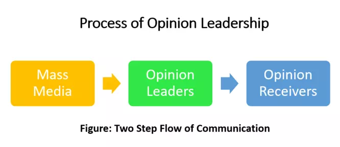 Opinion Leadership Process