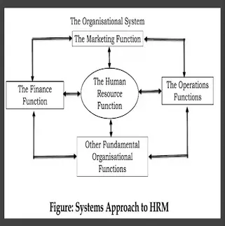 System Approach to Hrm Human Resource Management