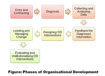 Phases of Organisational Development