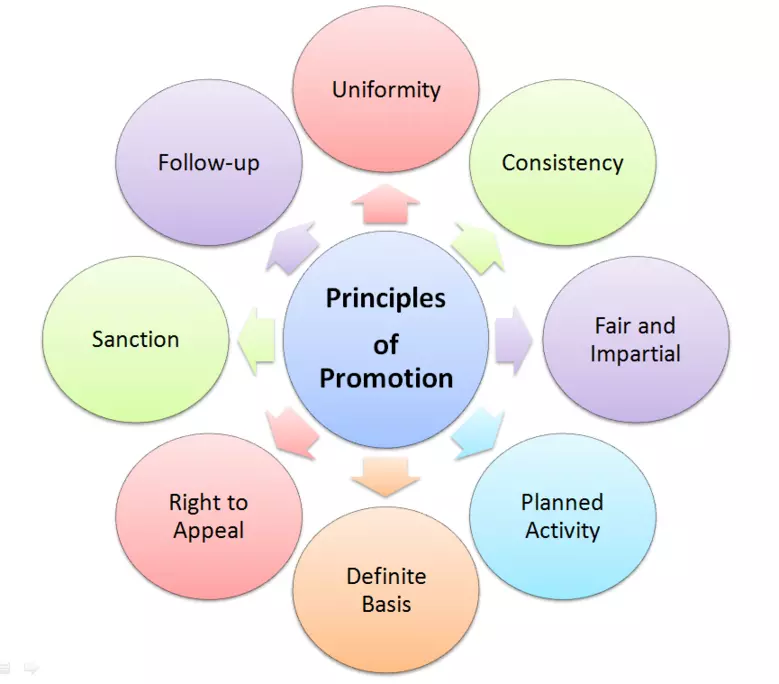 Principles of Promotion