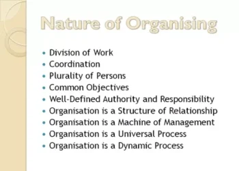 Nature of Organising