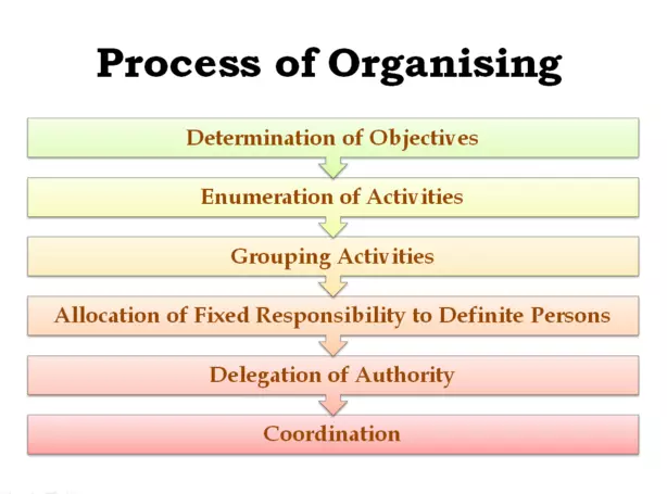 Process of Organising 
