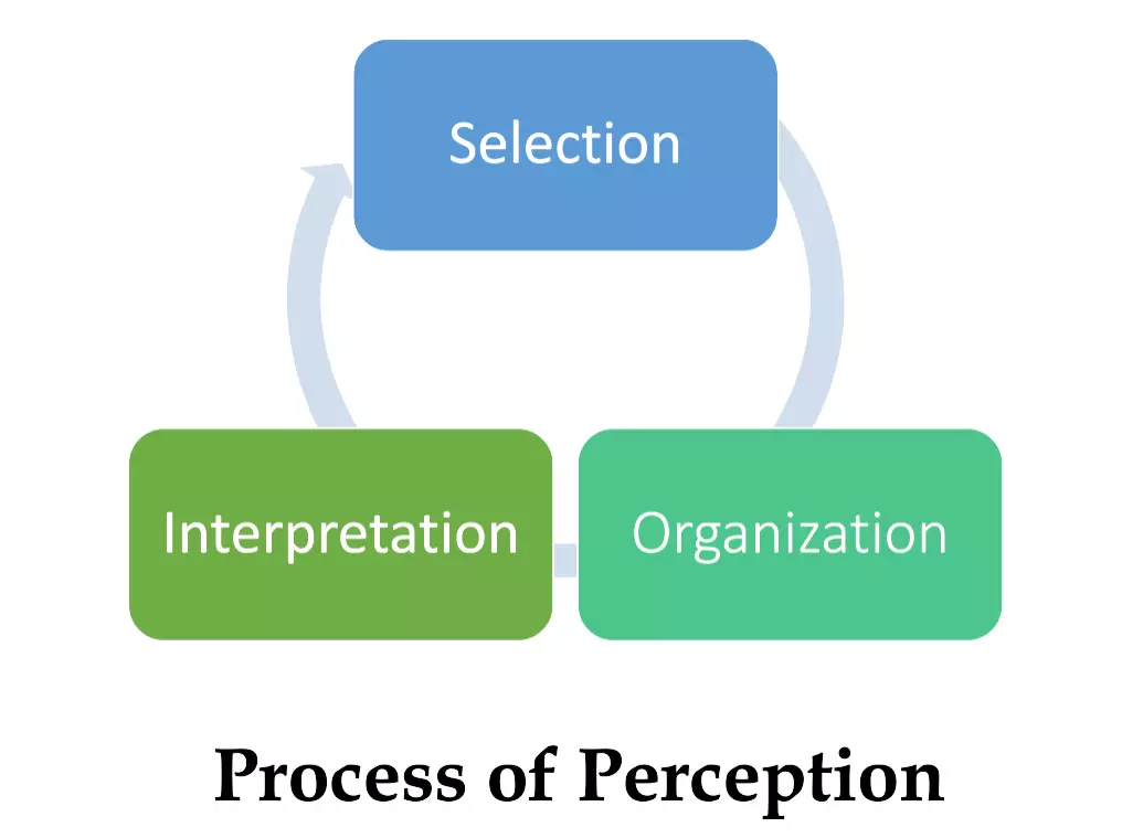 Process of Perception