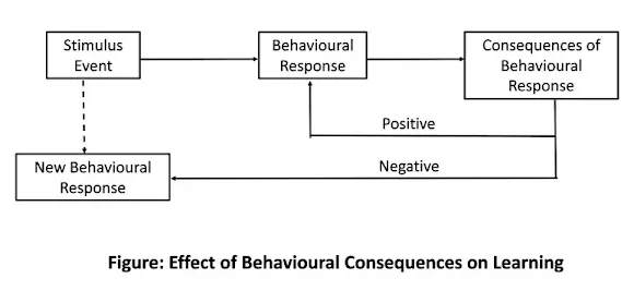 Effect of Behavioural Consequences on Learning