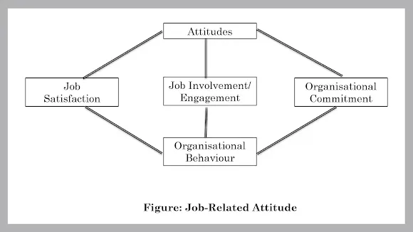 Job related Attitude