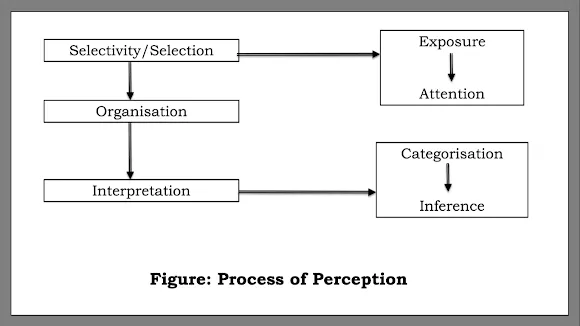 Process of Perception