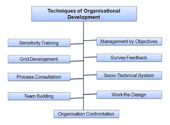 Techniques of Organisational Development 