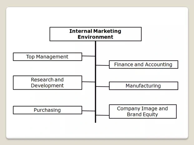 Internal Marketing Environment