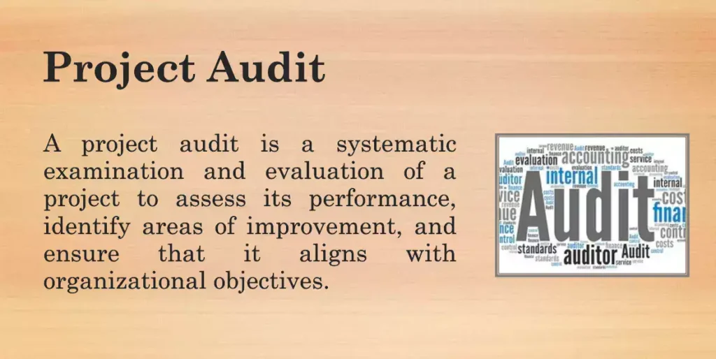 Project audit