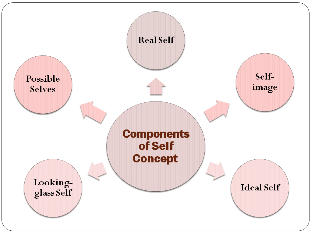 Components of Self Concept