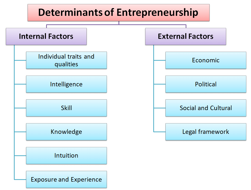 Determinants of Entrepreneurship